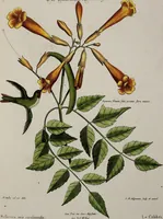 Picture 35 of 55 from (Band 3) (1753), leaf 126