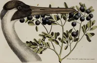 Picture 55 of 55 from (Band 3) (1753), leaf 166