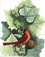 Picture 17 of 55 from (Band 3) (1753), leaf 90