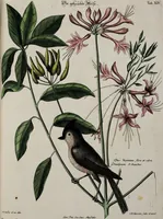 Picture 19 of 55 from (Band 3) (1753), leaf 94