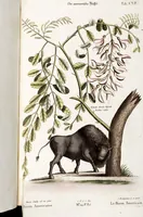 Picture 63 of 68 from (Band 4) (1755), leaf 129