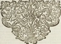 An illustration from (Band 4) (1755)