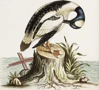 Picture 44 of 68 from (Band 4) (1755), leaf 90