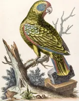 Picture 5 of 56 from (Band 6) (1764), leaf 10