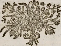 An illustration from (Band 6) (1764)