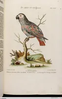 An illustration from (Band 6) (1764)