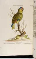 An illustration from (Band 6) (1764)