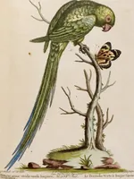 An illustration from (Band 6) (1764)