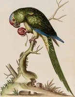 Picture 20 of 56 from (Band 6) (1764), leaf 39