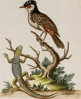 Picture 34 of 56 from (Band 6) (1764), leaf 67