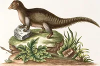 An illustration from (Band 6) (1764)
