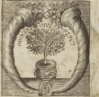 Picture 1 of 10 from Bvrcardi Gotthelffi[i] Struvi[i] Antiqvitatvm Romanarvm Syntagma siue De Ritibvs Sacris Systema Absolvtivs adiecta Bibliotheca, figuris aeneis, & indicibus necessariis (1701), leaf 5