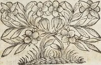 Picture 10 of 10 from Bvrcardi Gotthelffi[i] Struvi[i] Antiqvitatvm Romanarvm Syntagma siue De Ritibvs Sacris Systema Absolvtivs adiecta Bibliotheca, figuris aeneis, & indicibus necessariis (1701), leaf 696