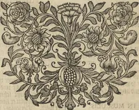 An illustration from Museum Museorum, Oder Vollständige Schau-Bühne Aller Materialien und Specereÿen: Nebst deren Natürlichen Beschreibung/ Election, Nutzen und Gebrauch/ Aus andern Material- Kunst- und Naturalien-Kammern/ Oost- und West-Indischen Reiß-Beschreibungen/ Curiosen Zeit- und Tag-Registern/ Natur- und Artzney-Kündigern/ wie auch selbst-eigenen Erfahrung ... (1704)