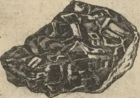 An illustration from Museum Museorum, Oder Vollständige Schau-Bühne Aller Materialien und Specereÿen: Nebst deren Natürlichen Beschreibung/ Election, Nutzen und Gebrauch/ Aus andern Material- Kunst- und Naturalien-Kammern/ Oost- und West-Indischen Reiß-Beschreibungen/ Curiosen Zeit- und Tag-Registern/ Natur- und Artzney-Kündigern/ wie auch selbst-eigenen Erfahrung ... (1704)