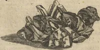An illustration from Museum Museorum, Oder Vollständige Schau-Bühne Aller Materialien und Specereÿen: Nebst deren Natürlichen Beschreibung/ Election, Nutzen und Gebrauch/ Aus andern Material- Kunst- und Naturalien-Kammern/ Oost- und West-Indischen Reiß-Beschreibungen/ Curiosen Zeit- und Tag-Registern/ Natur- und Artzney-Kündigern/ wie auch selbst-eigenen Erfahrung ... (1704)