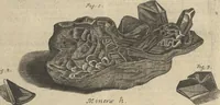 An illustration from Museum Museorum, Oder Vollständige Schau-Bühne Aller Materialien und Specereÿen: Nebst deren Natürlichen Beschreibung/ Election, Nutzen und Gebrauch/ Aus andern Material- Kunst- und Naturalien-Kammern/ Oost- und West-Indischen Reiß-Beschreibungen/ Curiosen Zeit- und Tag-Registern/ Natur- und Artzney-Kündigern/ wie auch selbst-eigenen Erfahrung ... (1704)