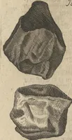 An illustration from Museum Museorum, Oder Vollständige Schau-Bühne Aller Materialien und Specereÿen: Nebst deren Natürlichen Beschreibung/ Election, Nutzen und Gebrauch/ Aus andern Material- Kunst- und Naturalien-Kammern/ Oost- und West-Indischen Reiß-Beschreibungen/ Curiosen Zeit- und Tag-Registern/ Natur- und Artzney-Kündigern/ wie auch selbst-eigenen Erfahrung ... (1704)