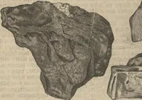 An illustration from Museum Museorum, Oder Vollständige Schau-Bühne Aller Materialien und Specereÿen: Nebst deren Natürlichen Beschreibung/ Election, Nutzen und Gebrauch/ Aus andern Material- Kunst- und Naturalien-Kammern/ Oost- und West-Indischen Reiß-Beschreibungen/ Curiosen Zeit- und Tag-Registern/ Natur- und Artzney-Kündigern/ wie auch selbst-eigenen Erfahrung ... (1704)