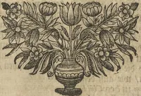 An illustration from Museum Museorum, Oder Vollständige Schau-Bühne Aller Materialien und Specereÿen: Nebst deren Natürlichen Beschreibung/ Election, Nutzen und Gebrauch/ Aus andern Material- Kunst- und Naturalien-Kammern/ Oost- und West-Indischen Reiß-Beschreibungen/ Curiosen Zeit- und Tag-Registern/ Natur- und Artzney-Kündigern/ wie auch selbst-eigenen Erfahrung ... (1704)