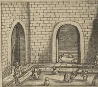 An illustration from Museum Museorum, Oder Vollständige Schau-Bühne Aller Materialien und Specereÿen: Nebst deren Natürlichen Beschreibung/ Election, Nutzen und Gebrauch/ Aus andern Material- Kunst- und Naturalien-Kammern/ Oost- und West-Indischen Reiß-Beschreibungen/ Curiosen Zeit- und Tag-Registern/ Natur- und Artzney-Kündigern/ wie auch selbst-eigenen Erfahrung ... (1704)