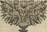 An illustration from Museum Museorum, Oder Vollständige Schau-Bühne Aller Materialien und Specereÿen: Nebst deren Natürlichen Beschreibung/ Election, Nutzen und Gebrauch/ Aus andern Material- Kunst- und Naturalien-Kammern/ Oost- und West-Indischen Reiß-Beschreibungen/ Curiosen Zeit- und Tag-Registern/ Natur- und Artzney-Kündigern/ wie auch selbst-eigenen Erfahrung ... (1704)