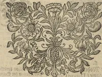 An illustration from Museum Museorum, Oder Vollständige Schau-Bühne Aller Materialien und Specereÿen: Nebst deren Natürlichen Beschreibung/ Election, Nutzen und Gebrauch/ Aus andern Material- Kunst- und Naturalien-Kammern/ Oost- und West-Indischen Reiß-Beschreibungen/ Curiosen Zeit- und Tag-Registern/ Natur- und Artzney-Kündigern/ wie auch selbst-eigenen Erfahrung ... (1704)