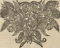 An illustration from Museum Museorum, Oder Vollständige Schau-Bühne Aller Materialien und Specereÿen: Nebst deren Natürlichen Beschreibung/ Election, Nutzen und Gebrauch/ Aus andern Material- Kunst- und Naturalien-Kammern/ Oost- und West-Indischen Reiß-Beschreibungen/ Curiosen Zeit- und Tag-Registern/ Natur- und Artzney-Kündigern/ wie auch selbst-eigenen Erfahrung ... (1704)