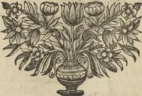 An illustration from Museum Museorum, Oder Vollständige Schau-Bühne Aller Materialien und Specereÿen: Nebst deren Natürlichen Beschreibung/ Election, Nutzen und Gebrauch/ Aus andern Material- Kunst- und Naturalien-Kammern/ Oost- und West-Indischen Reiß-Beschreibungen/ Curiosen Zeit- und Tag-Registern/ Natur- und Artzney-Kündigern/ wie auch selbst-eigenen Erfahrung ... (1704)