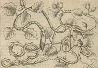 An illustration from Museum Museorum, Oder Vollständige Schau-Bühne Aller Materialien und Specereÿen: Nebst deren Natürlichen Beschreibung/ Election, Nutzen und Gebrauch/ Aus andern Material- Kunst- und Naturalien-Kammern/ Oost- und West-Indischen Reiß-Beschreibungen/ Curiosen Zeit- und Tag-Registern/ Natur- und Artzney-Kündigern/ wie auch selbst-eigenen Erfahrung ... (1704)