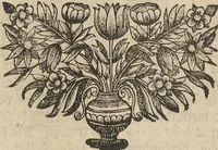 An illustration from Museum Museorum, Oder Vollständige Schau-Bühne Aller Materialien und Specereÿen: Nebst deren Natürlichen Beschreibung/ Election, Nutzen und Gebrauch/ Aus andern Material- Kunst- und Naturalien-Kammern/ Oost- und West-Indischen Reiß-Beschreibungen/ Curiosen Zeit- und Tag-Registern/ Natur- und Artzney-Kündigern/ wie auch selbst-eigenen Erfahrung ... (1704)