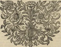 An illustration from Museum Museorum, Oder Vollständige Schau-Bühne Aller Materialien und Specereÿen: Nebst deren Natürlichen Beschreibung/ Election, Nutzen und Gebrauch/ Aus andern Material- Kunst- und Naturalien-Kammern/ Oost- und West-Indischen Reiß-Beschreibungen/ Curiosen Zeit- und Tag-Registern/ Natur- und Artzney-Kündigern/ wie auch selbst-eigenen Erfahrung ... (1704)