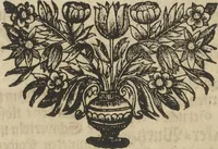 An illustration from Museum Museorum, Oder Vollständige Schau-Bühne Aller Materialien und Specereÿen: Nebst deren Natürlichen Beschreibung/ Election, Nutzen und Gebrauch/ Aus andern Material- Kunst- und Naturalien-Kammern/ Oost- und West-Indischen Reiß-Beschreibungen/ Curiosen Zeit- und Tag-Registern/ Natur- und Artzney-Kündigern/ wie auch selbst-eigenen Erfahrung ... (1704)