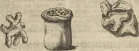 An illustration from Museum Museorum, Oder Vollständige Schau-Bühne Aller Materialien und Specereÿen: Nebst deren Natürlichen Beschreibung/ Election, Nutzen und Gebrauch/ Aus andern Material- Kunst- und Naturalien-Kammern/ Oost- und West-Indischen Reiß-Beschreibungen/ Curiosen Zeit- und Tag-Registern/ Natur- und Artzney-Kündigern/ wie auch selbst-eigenen Erfahrung ... (1704)