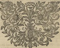An illustration from Museum Museorum, Oder Vollständige Schau-Bühne Aller Materialien und Specereÿen: Nebst deren Natürlichen Beschreibung/ Election, Nutzen und Gebrauch/ Aus andern Material- Kunst- und Naturalien-Kammern/ Oost- und West-Indischen Reiß-Beschreibungen/ Curiosen Zeit- und Tag-Registern/ Natur- und Artzney-Kündigern/ wie auch selbst-eigenen Erfahrung ... (1704)