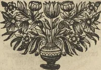 An illustration from Museum Museorum, Oder Vollständige Schau-Bühne Aller Materialien und Specereÿen: Nebst deren Natürlichen Beschreibung/ Election, Nutzen und Gebrauch/ Aus andern Material- Kunst- und Naturalien-Kammern/ Oost- und West-Indischen Reiß-Beschreibungen/ Curiosen Zeit- und Tag-Registern/ Natur- und Artzney-Kündigern/ wie auch selbst-eigenen Erfahrung ... (1704)