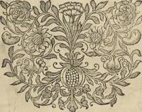 An illustration from Museum Museorum, Oder Vollständige Schau-Bühne Aller Materialien und Specereÿen: Nebst deren Natürlichen Beschreibung/ Election, Nutzen und Gebrauch/ Aus andern Material- Kunst- und Naturalien-Kammern/ Oost- und West-Indischen Reiß-Beschreibungen/ Curiosen Zeit- und Tag-Registern/ Natur- und Artzney-Kündigern/ wie auch selbst-eigenen Erfahrung ... (1704)