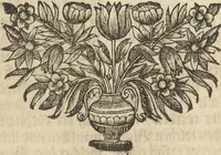 An illustration from Museum Museorum, Oder Vollständige Schau-Bühne Aller Materialien und Specereÿen: Nebst deren Natürlichen Beschreibung/ Election, Nutzen und Gebrauch/ Aus andern Material- Kunst- und Naturalien-Kammern/ Oost- und West-Indischen Reiß-Beschreibungen/ Curiosen Zeit- und Tag-Registern/ Natur- und Artzney-Kündigern/ wie auch selbst-eigenen Erfahrung ... (1704)