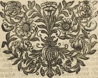 An illustration from Museum Museorum, Oder Vollständige Schau-Bühne Aller Materialien und Specereÿen: Nebst deren Natürlichen Beschreibung/ Election, Nutzen und Gebrauch/ Aus andern Material- Kunst- und Naturalien-Kammern/ Oost- und West-Indischen Reiß-Beschreibungen/ Curiosen Zeit- und Tag-Registern/ Natur- und Artzney-Kündigern/ wie auch selbst-eigenen Erfahrung ... (1704)