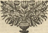An illustration from Museum Museorum, Oder Vollständige Schau-Bühne Aller Materialien und Specereÿen: Nebst deren Natürlichen Beschreibung/ Election, Nutzen und Gebrauch/ Aus andern Material- Kunst- und Naturalien-Kammern/ Oost- und West-Indischen Reiß-Beschreibungen/ Curiosen Zeit- und Tag-Registern/ Natur- und Artzney-Kündigern/ wie auch selbst-eigenen Erfahrung ... (1704)
