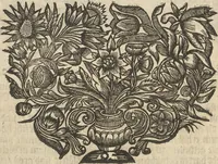 An illustration from Museum Museorum, Oder Vollständige Schau-Bühne Aller Materialien und Specereÿen: Nebst deren Natürlichen Beschreibung/ Election, Nutzen und Gebrauch/ Aus andern Material- Kunst- und Naturalien-Kammern/ Oost- und West-Indischen Reiß-Beschreibungen/ Curiosen Zeit- und Tag-Registern/ Natur- und Artzney-Kündigern/ wie auch selbst-eigenen Erfahrung ... (1704)