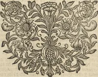 An illustration from Museum Museorum, Oder Vollständige Schau-Bühne Aller Materialien und Specereÿen: Nebst deren Natürlichen Beschreibung/ Election, Nutzen und Gebrauch/ Aus andern Material- Kunst- und Naturalien-Kammern/ Oost- und West-Indischen Reiß-Beschreibungen/ Curiosen Zeit- und Tag-Registern/ Natur- und Artzney-Kündigern/ wie auch selbst-eigenen Erfahrung ... (1704)