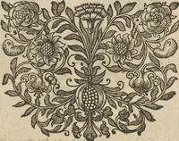 An illustration from Museum Museorum, Oder Vollständige Schau-Bühne Aller Materialien und Specereÿen: Nebst deren Natürlichen Beschreibung/ Election, Nutzen und Gebrauch/ Aus andern Material- Kunst- und Naturalien-Kammern/ Oost- und West-Indischen Reiß-Beschreibungen/ Curiosen Zeit- und Tag-Registern/ Natur- und Artzney-Kündigern/ wie auch selbst-eigenen Erfahrung ... (1704)