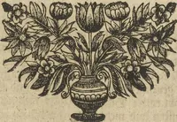 Picture 186 of 284 from Museum Museorum, Oder Vollständige Schau-Bühne Aller Materialien und Specereÿen: Nebst deren Natürlichen Beschreibung/ Election, Nutzen und Gebrauch/ Aus andern Material- Kunst- und Naturalien-Kammern/ Oost- und West-Indischen Reiß-Beschreibungen/ Curiosen Zeit- und Tag-Registern/ Natur- und Artzney-Kündigern/ wie auch selbst-eigenen Erfahrung ... (1704), leaf 394
