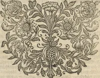 An illustration from Museum Museorum, Oder Vollständige Schau-Bühne Aller Materialien und Specereÿen: Nebst deren Natürlichen Beschreibung/ Election, Nutzen und Gebrauch/ Aus andern Material- Kunst- und Naturalien-Kammern/ Oost- und West-Indischen Reiß-Beschreibungen/ Curiosen Zeit- und Tag-Registern/ Natur- und Artzney-Kündigern/ wie auch selbst-eigenen Erfahrung ... (1704)