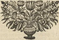 An illustration from Museum Museorum, Oder Vollständige Schau-Bühne Aller Materialien und Specereÿen: Nebst deren Natürlichen Beschreibung/ Election, Nutzen und Gebrauch/ Aus andern Material- Kunst- und Naturalien-Kammern/ Oost- und West-Indischen Reiß-Beschreibungen/ Curiosen Zeit- und Tag-Registern/ Natur- und Artzney-Kündigern/ wie auch selbst-eigenen Erfahrung ... (1704)