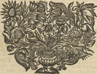 An illustration from Museum Museorum, Oder Vollständige Schau-Bühne Aller Materialien und Specereÿen: Nebst deren Natürlichen Beschreibung/ Election, Nutzen und Gebrauch/ Aus andern Material- Kunst- und Naturalien-Kammern/ Oost- und West-Indischen Reiß-Beschreibungen/ Curiosen Zeit- und Tag-Registern/ Natur- und Artzney-Kündigern/ wie auch selbst-eigenen Erfahrung ... (1704)