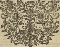 An illustration from Museum Museorum, Oder Vollständige Schau-Bühne Aller Materialien und Specereÿen: Nebst deren Natürlichen Beschreibung/ Election, Nutzen und Gebrauch/ Aus andern Material- Kunst- und Naturalien-Kammern/ Oost- und West-Indischen Reiß-Beschreibungen/ Curiosen Zeit- und Tag-Registern/ Natur- und Artzney-Kündigern/ wie auch selbst-eigenen Erfahrung ... (1704)