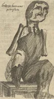 An illustration from Museum Museorum, Oder Vollständige Schau-Bühne Aller Materialien und Specereÿen: Nebst deren Natürlichen Beschreibung/ Election, Nutzen und Gebrauch/ Aus andern Material- Kunst- und Naturalien-Kammern/ Oost- und West-Indischen Reiß-Beschreibungen/ Curiosen Zeit- und Tag-Registern/ Natur- und Artzney-Kündigern/ wie auch selbst-eigenen Erfahrung ... (1704)