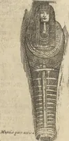 An illustration from Museum Museorum, Oder Vollständige Schau-Bühne Aller Materialien und Specereÿen: Nebst deren Natürlichen Beschreibung/ Election, Nutzen und Gebrauch/ Aus andern Material- Kunst- und Naturalien-Kammern/ Oost- und West-Indischen Reiß-Beschreibungen/ Curiosen Zeit- und Tag-Registern/ Natur- und Artzney-Kündigern/ wie auch selbst-eigenen Erfahrung ... (1704)